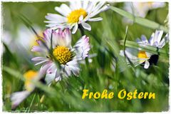 Frohe Ostern