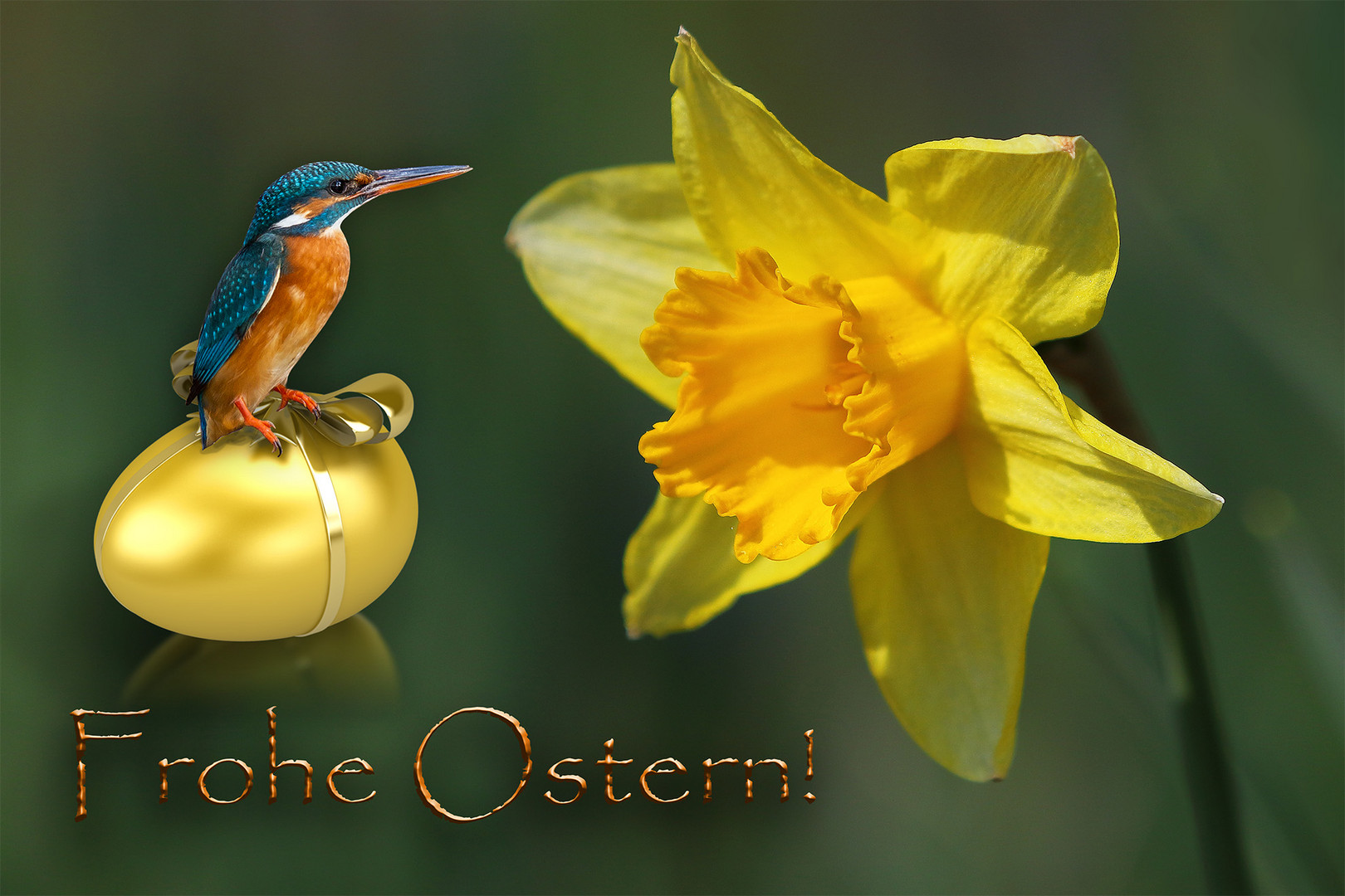 Frohe Ostern!