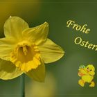 Frohe Ostern ...