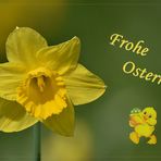 Frohe Ostern ...