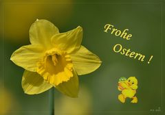 Frohe Ostern ...