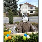 frohe ostern ...