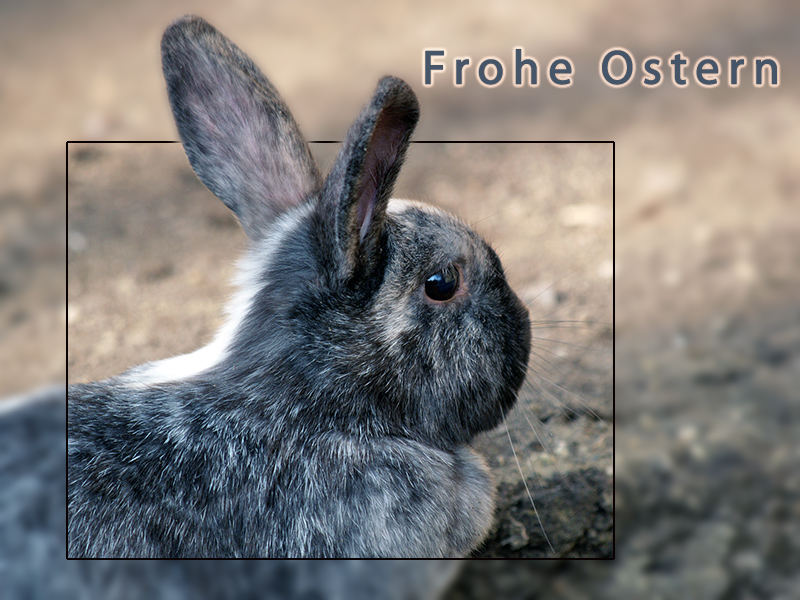 Frohe Ostern...