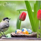 Frohe Ostern