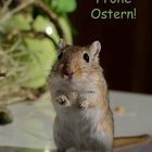 Frohe Ostern!