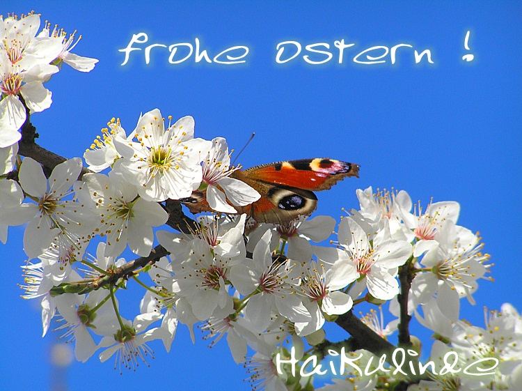 Frohe Ostern!