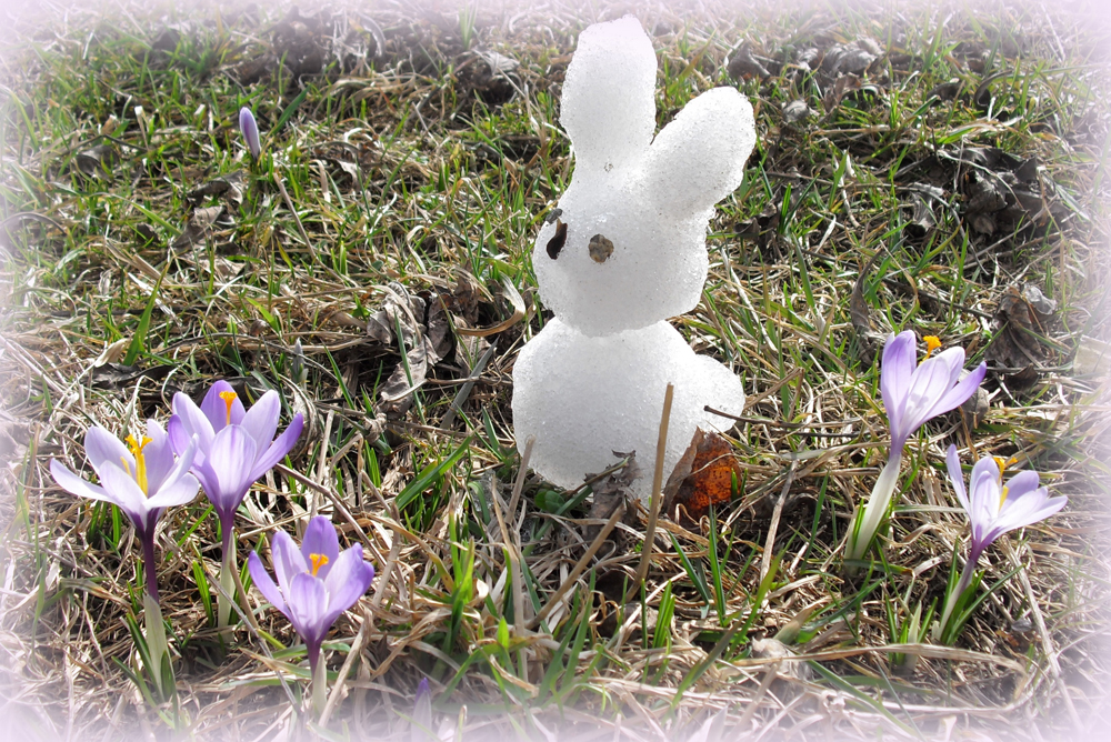 Frohe Ostern