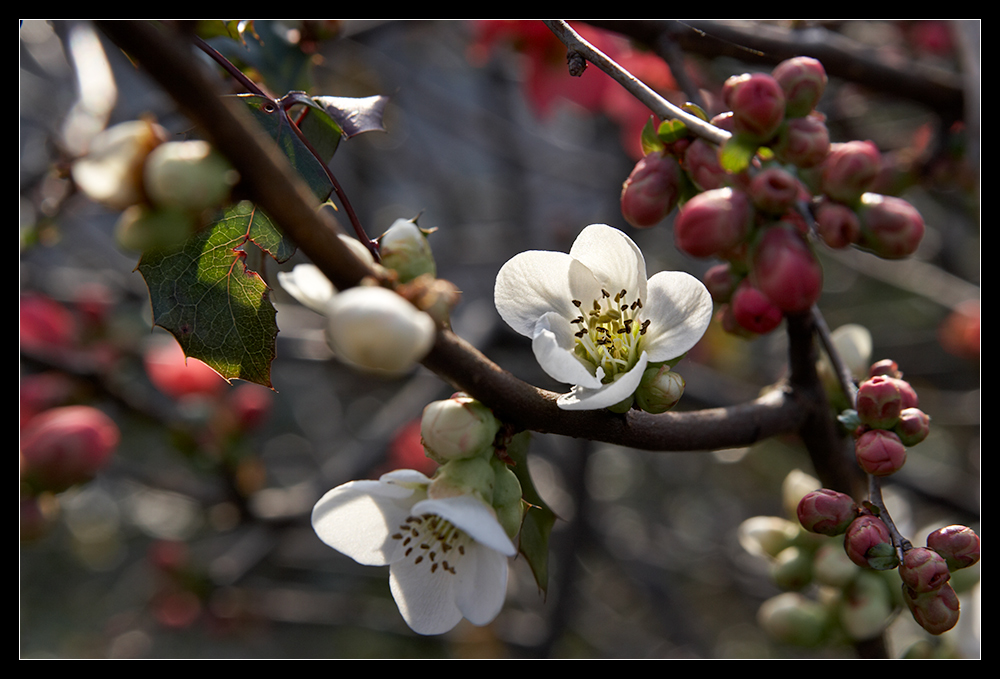 Frohe Ostern...