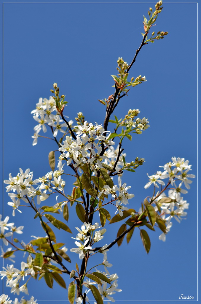 Frohe Ostern