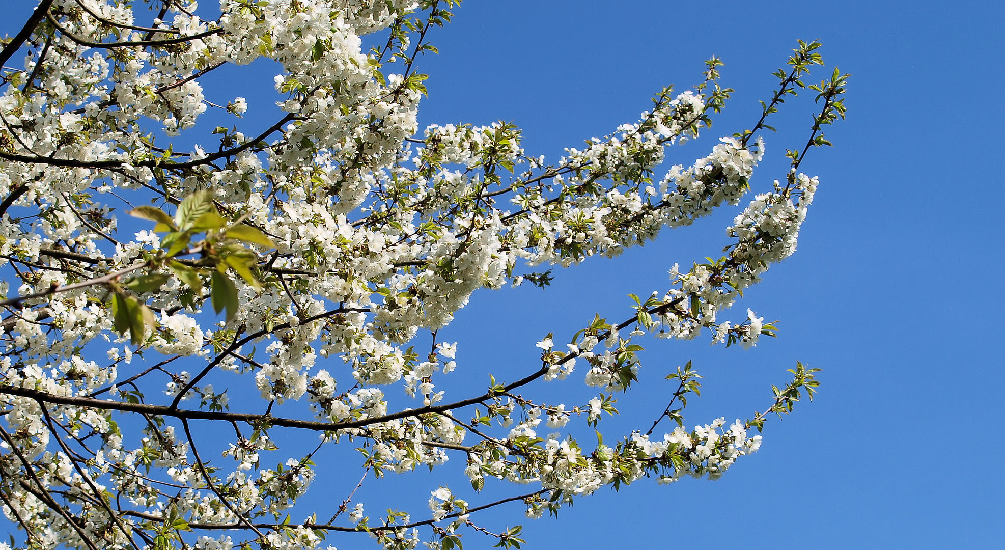 Frohe Ostern ......