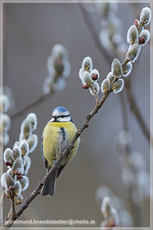 Frohe Ostern....