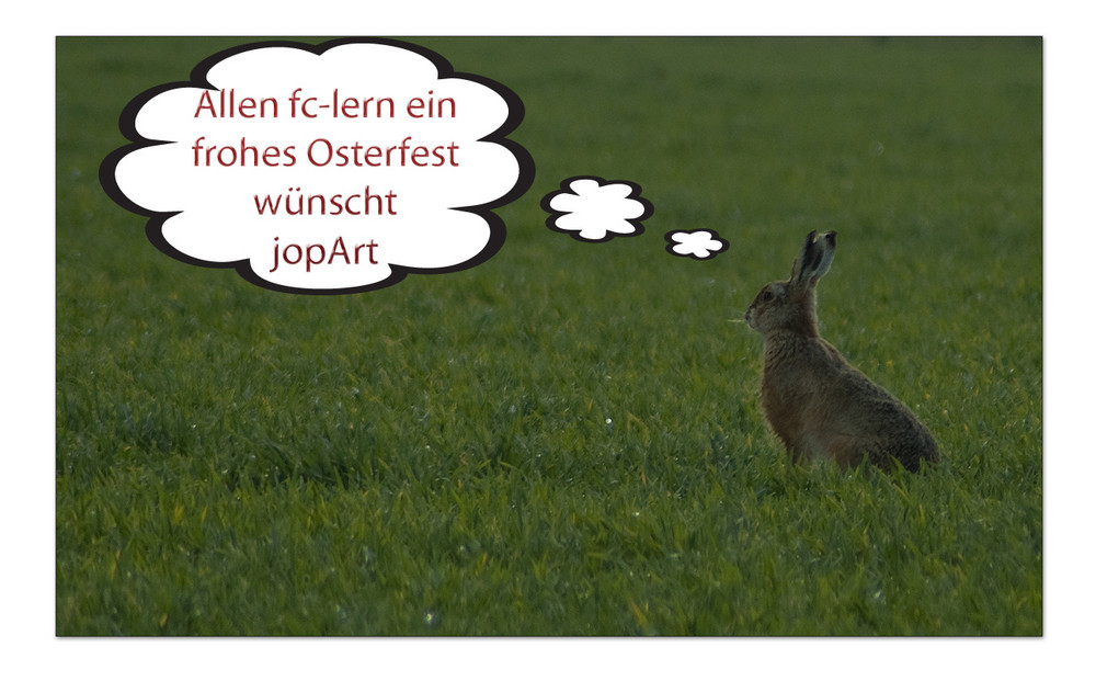 Frohe Ostern...