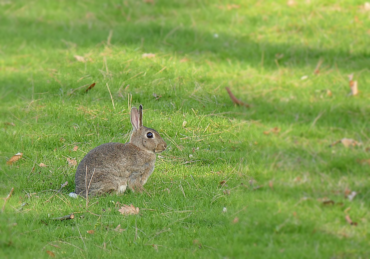 Frohe Ostern !!!!!!!!!