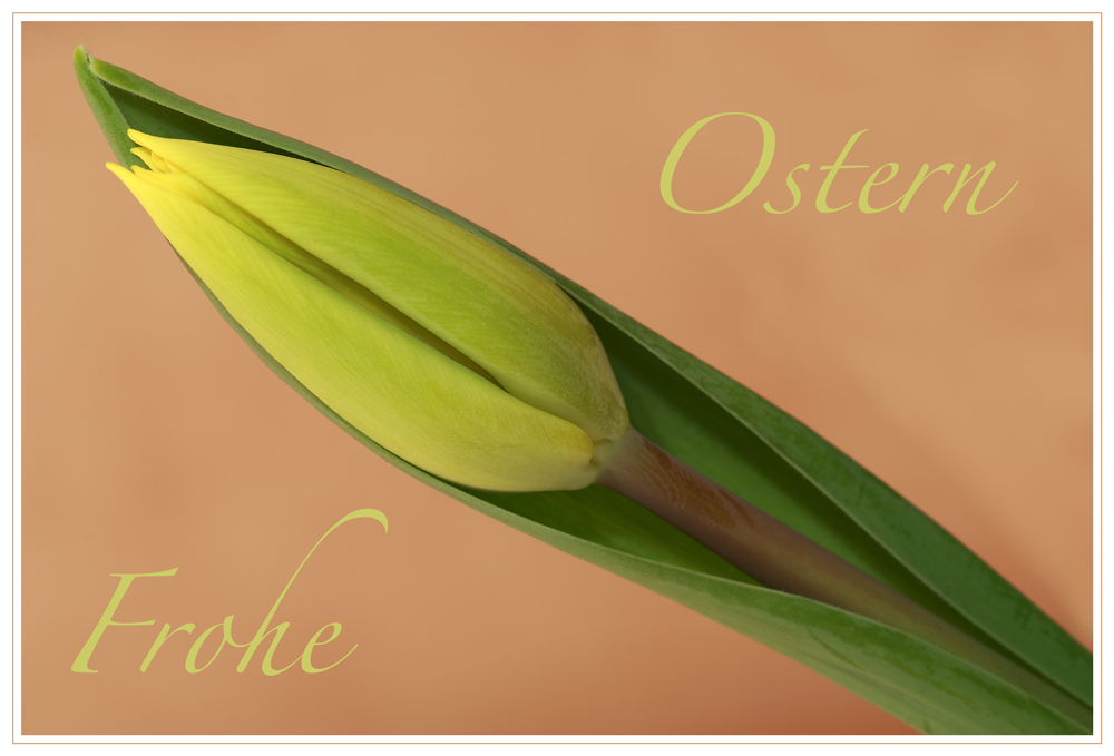 Frohe Ostern