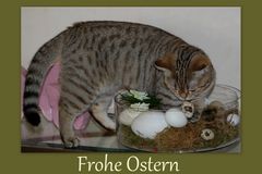 Frohe Ostern