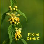 Frohe Ostern