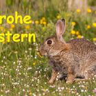 Frohe Ostern