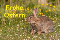 Frohe Ostern