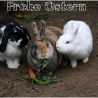 Frohe Ostern...