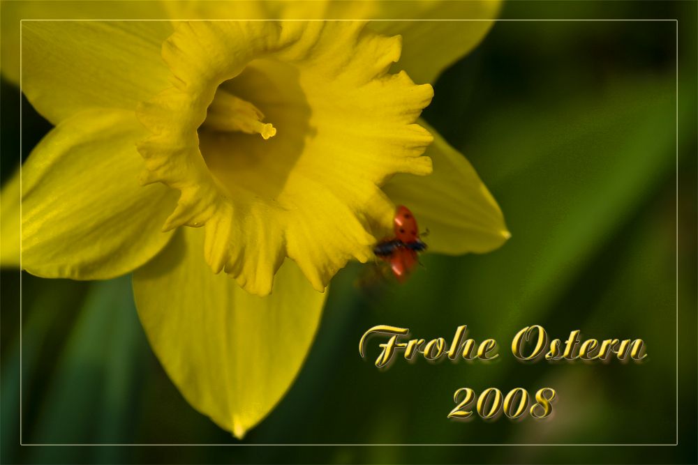 Frohe Ostern