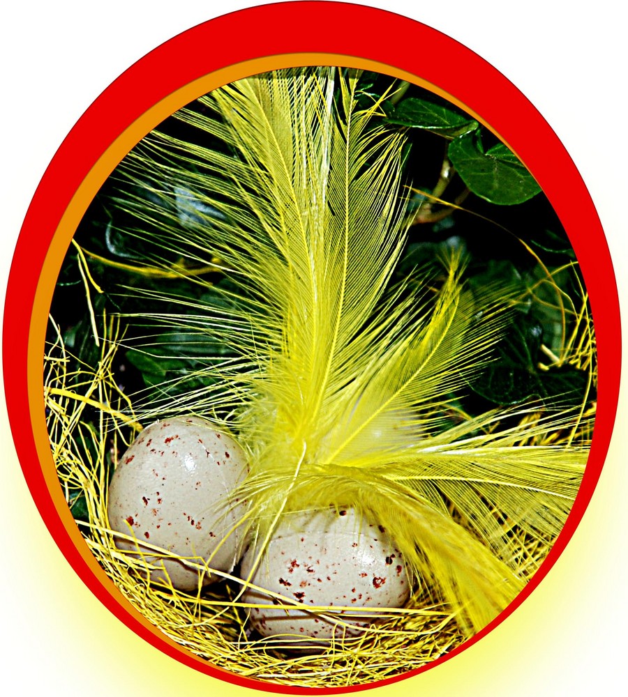 Frohe Ostern