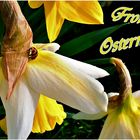 Frohe Ostern ...