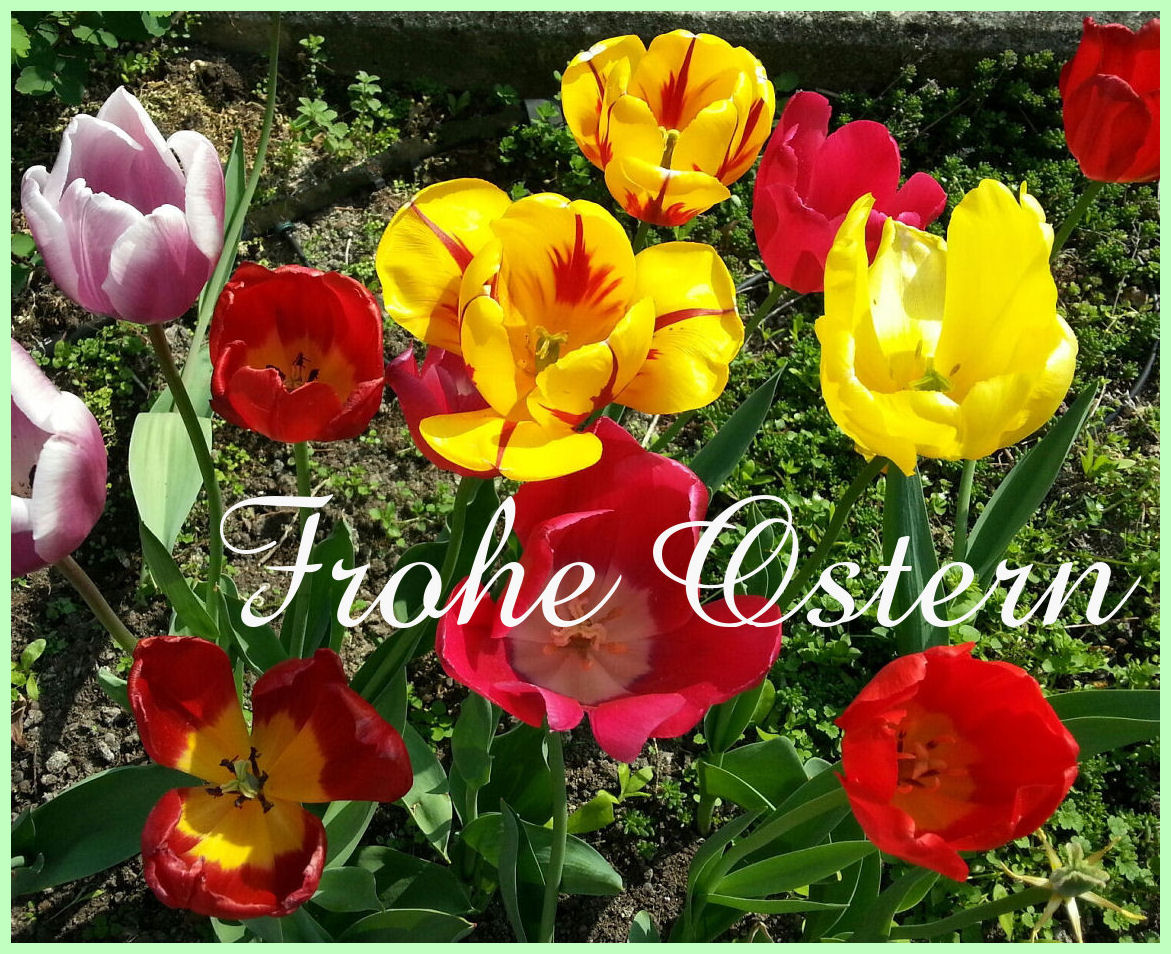 Frohe Ostern