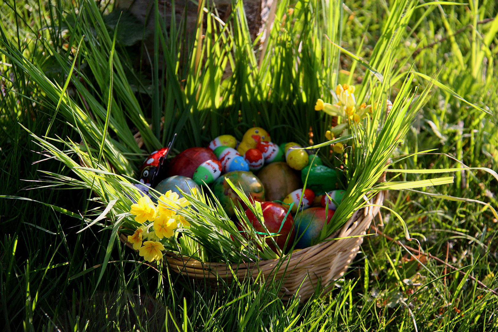 Frohe Ostern !