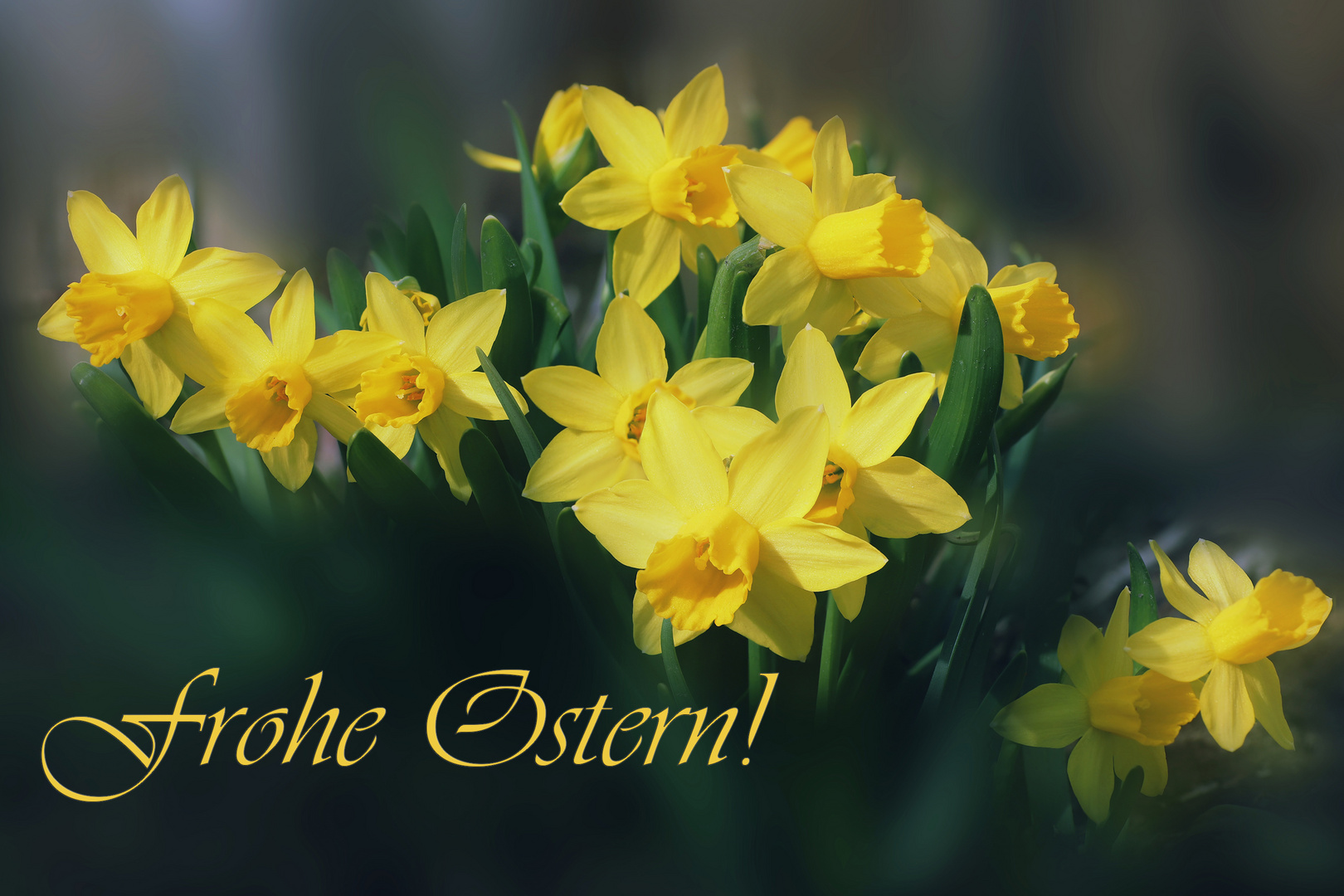 Frohe Ostern