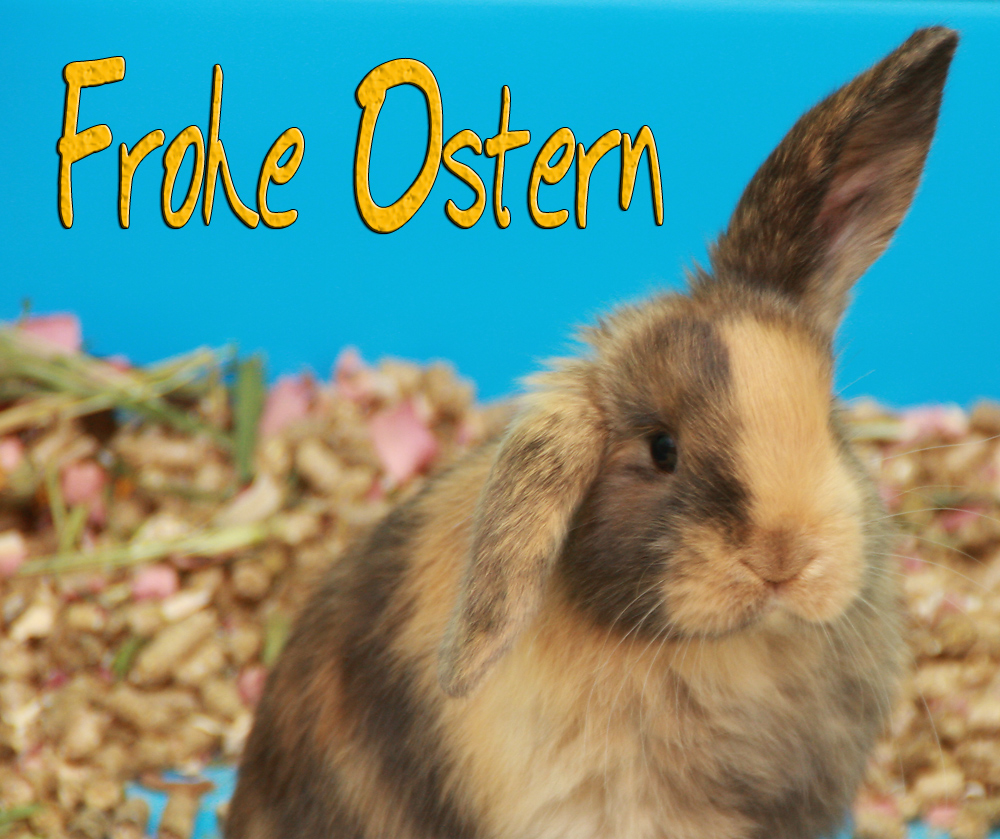 Frohe Ostern