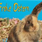 Frohe Ostern