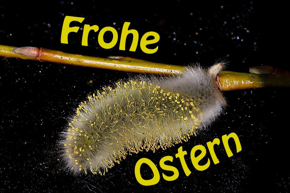 Frohe Ostern