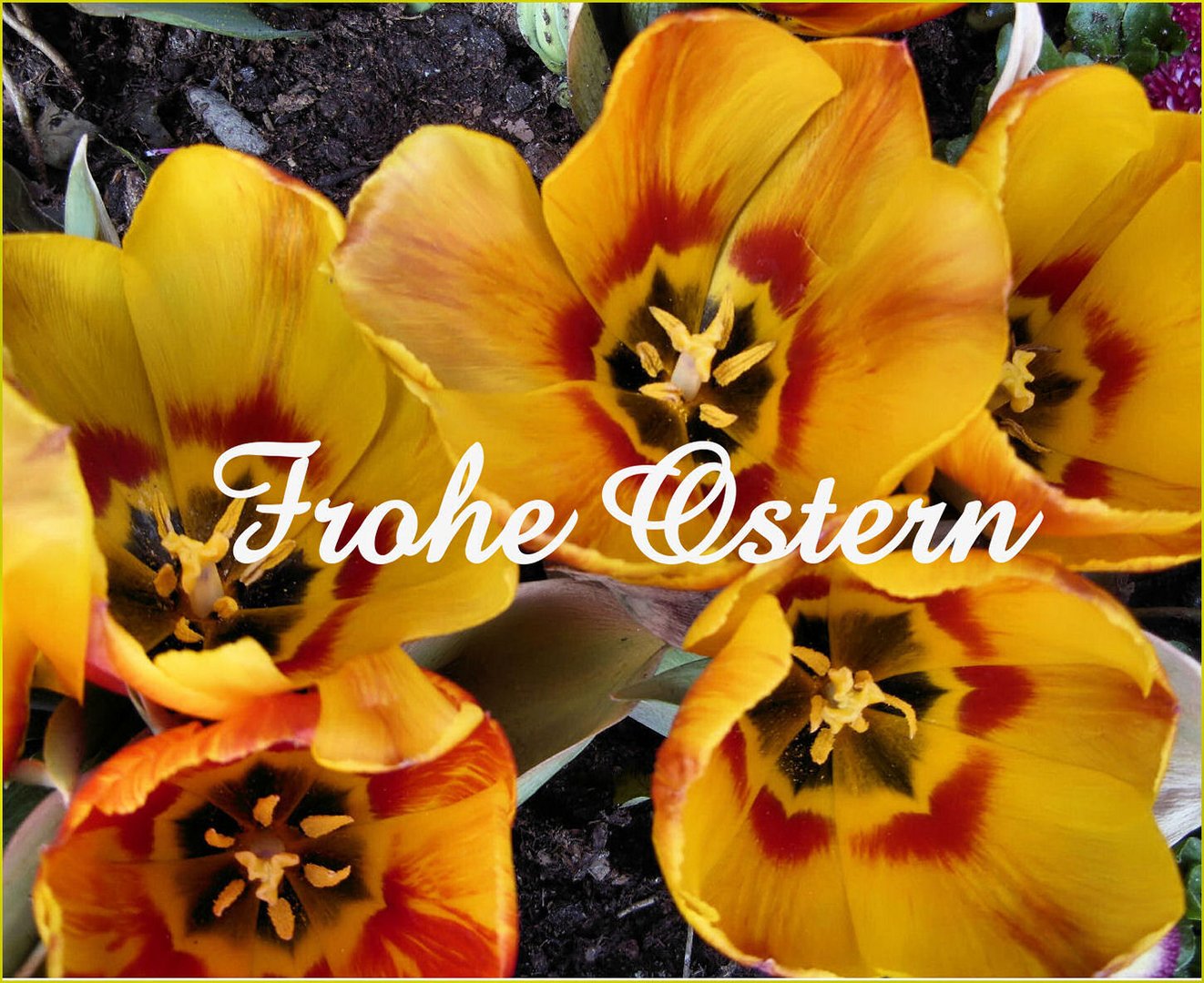 Frohe Ostern