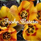 Frohe Ostern