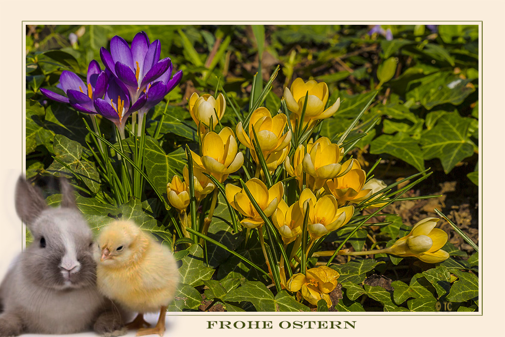 FROHE OSTERN