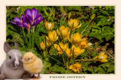 FROHE OSTERN