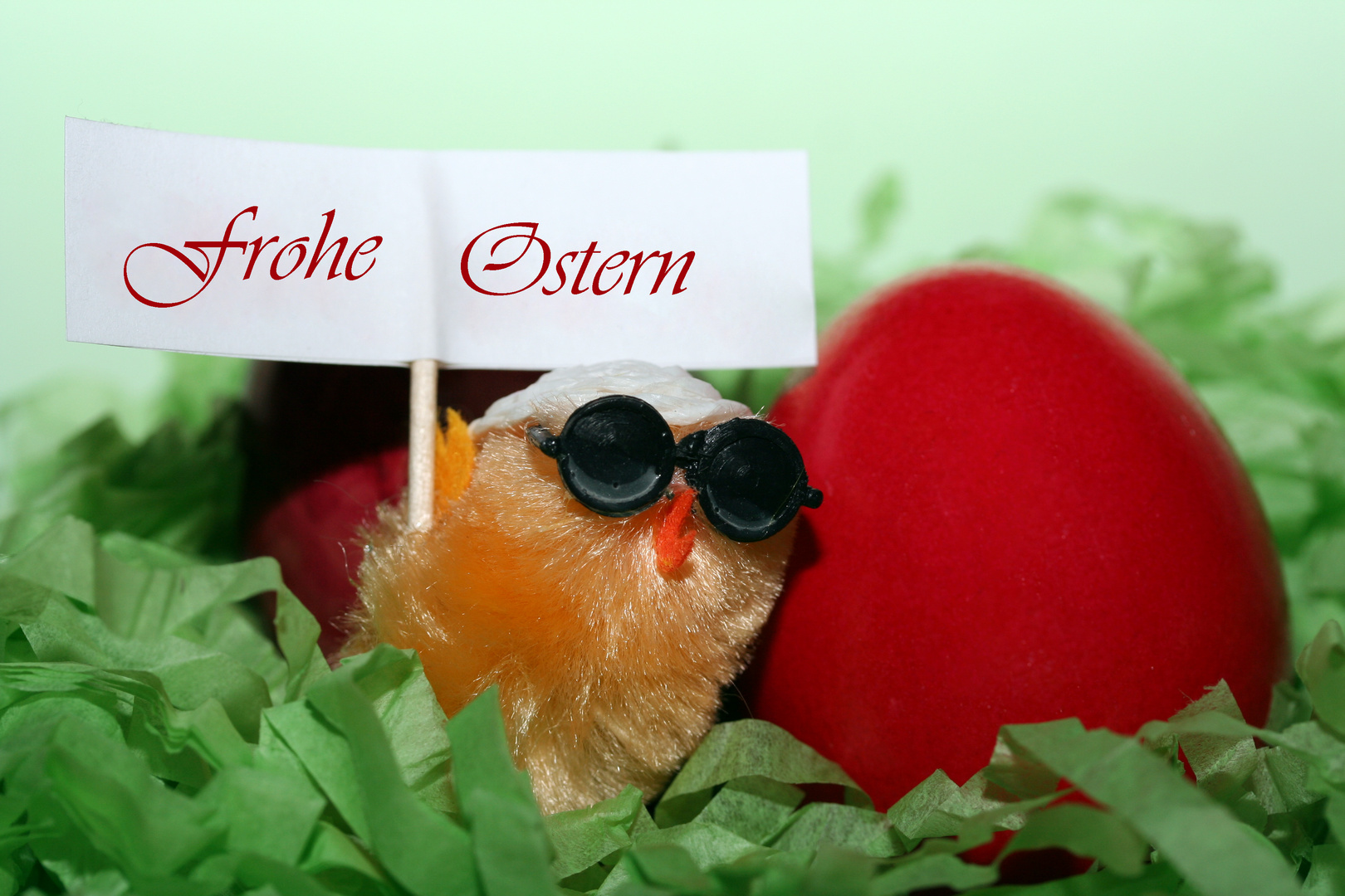 Frohe Ostern!