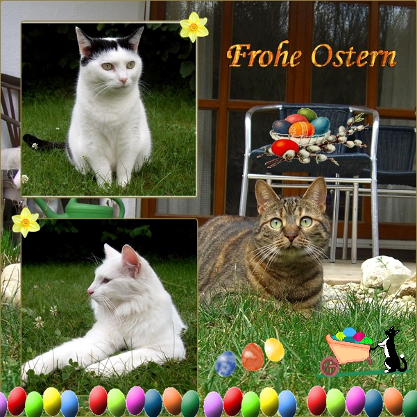 Frohe Ostern!