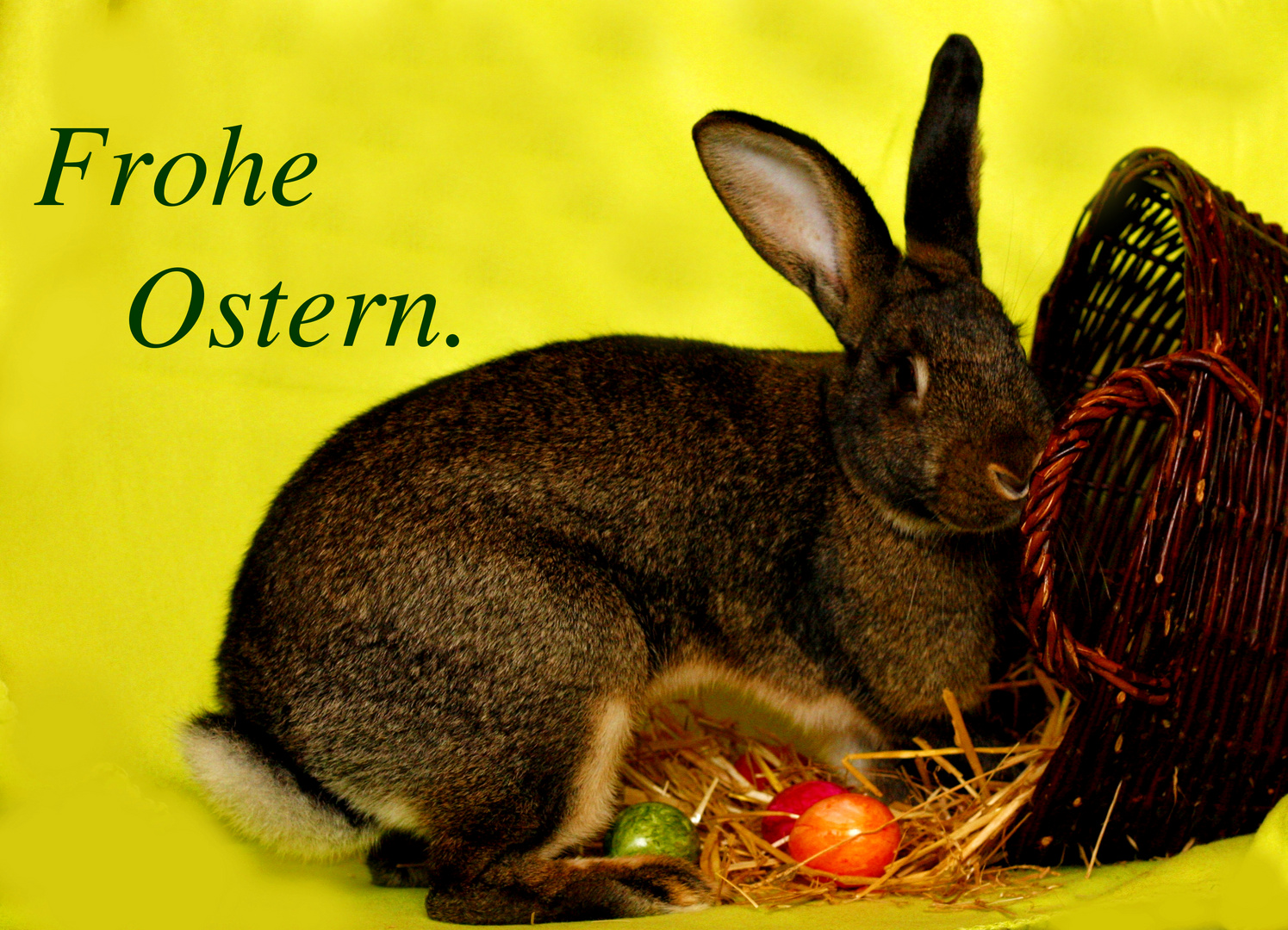 Frohe Ostern