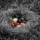 Frohe Ostern