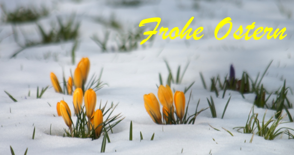 Frohe Ostern