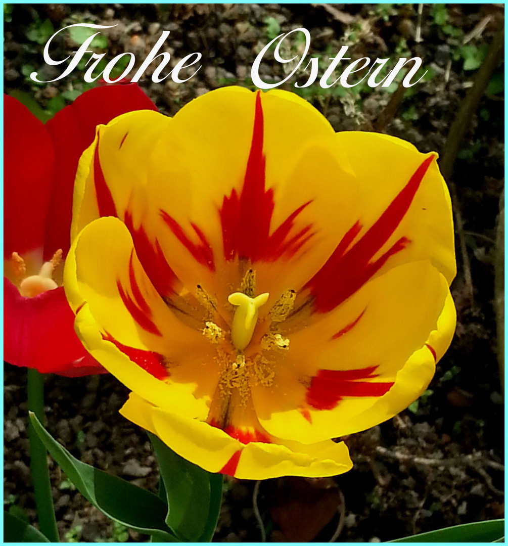 Frohe Ostern