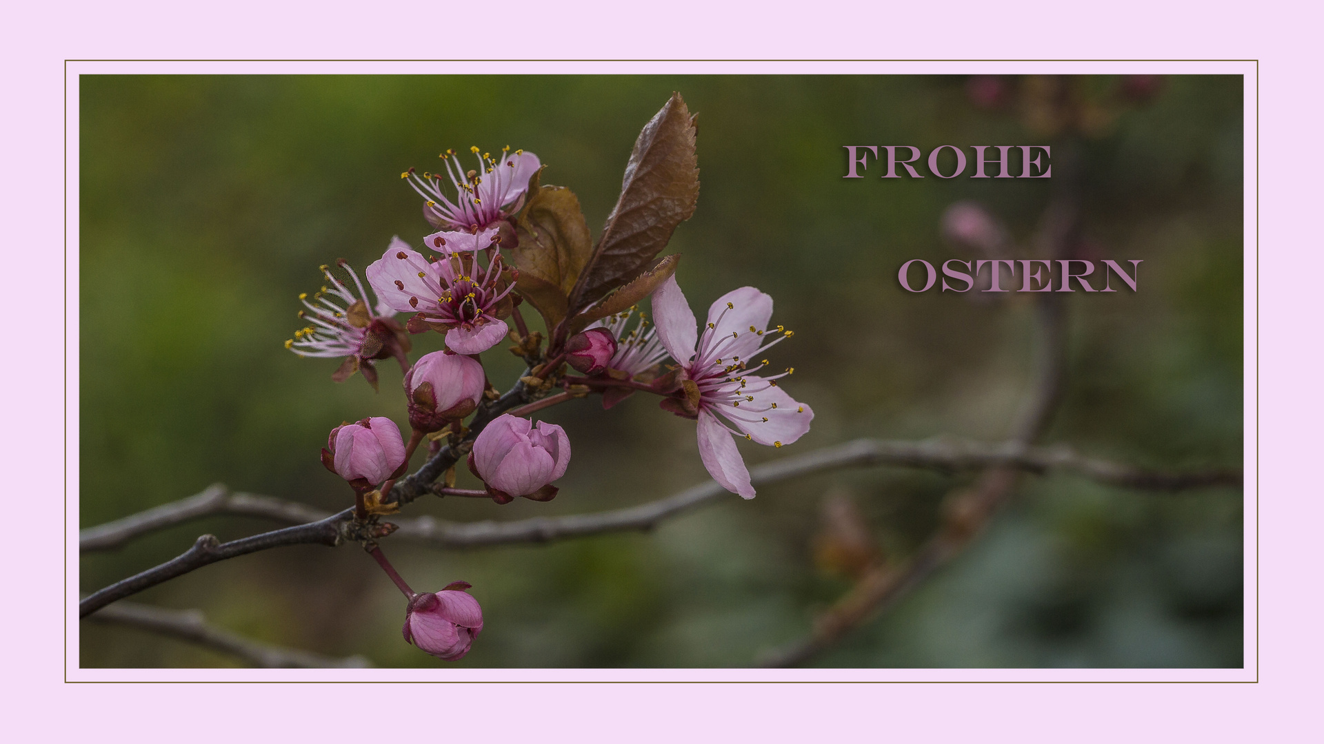 FROHE OSTERN