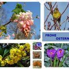 Frohe Ostern