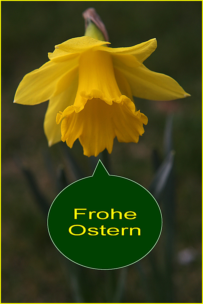 Frohe Ostern