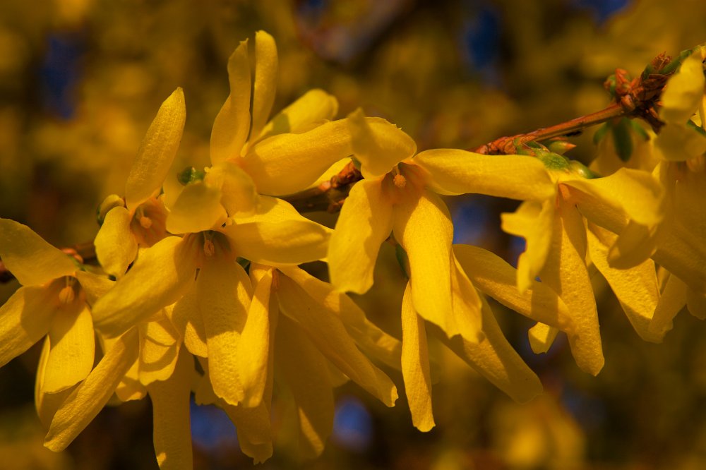 Frohe Ostern!