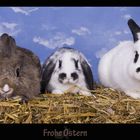 Frohe Ostern