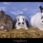 Frohe Ostern