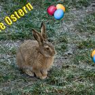 Frohe Ostern!