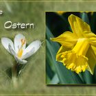 Frohe Ostern